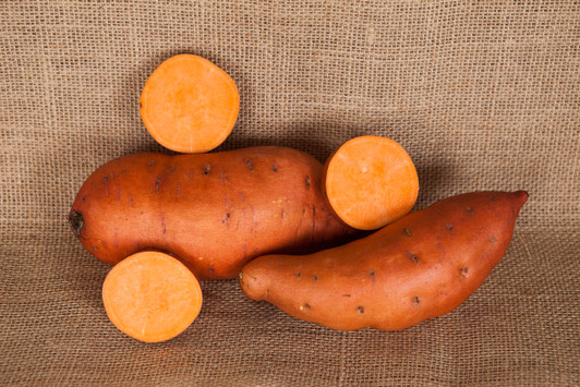 Beauregard Sweet Potato ORGANIC SEED