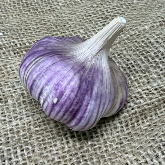 Organic Klamath Wild (Rocambole)