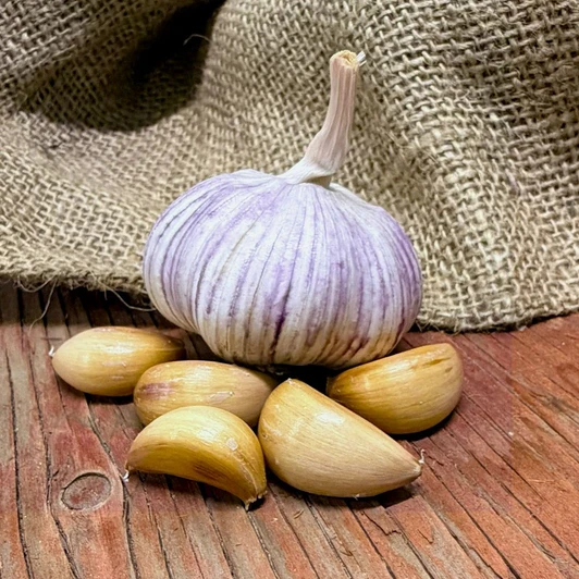 Organic Spanish Roja Bulk (Rocambole)