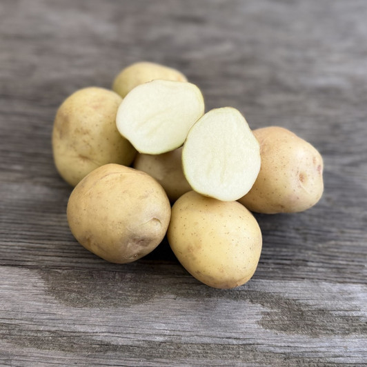 Organic Early Ohio Potato