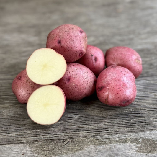 Organic Red Norland Potato