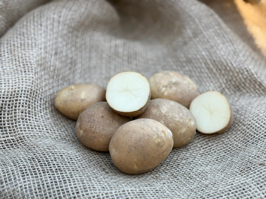 ORGANIC BUTTE POTATO