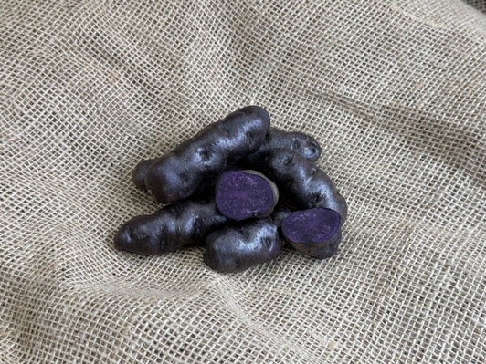 ORGANIC PURPLE PERUVIAN FINGERLING POTATO