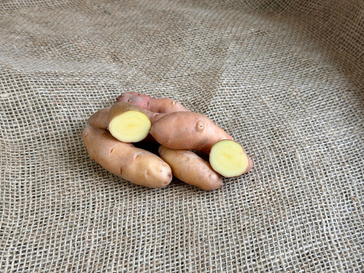 ORGANIC ROSE FINN APPLE FINGERLING POTATO