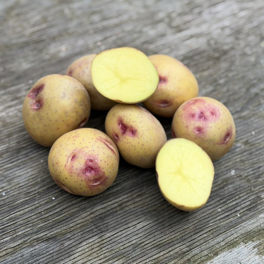 Organic Smilin' Eyes Potato