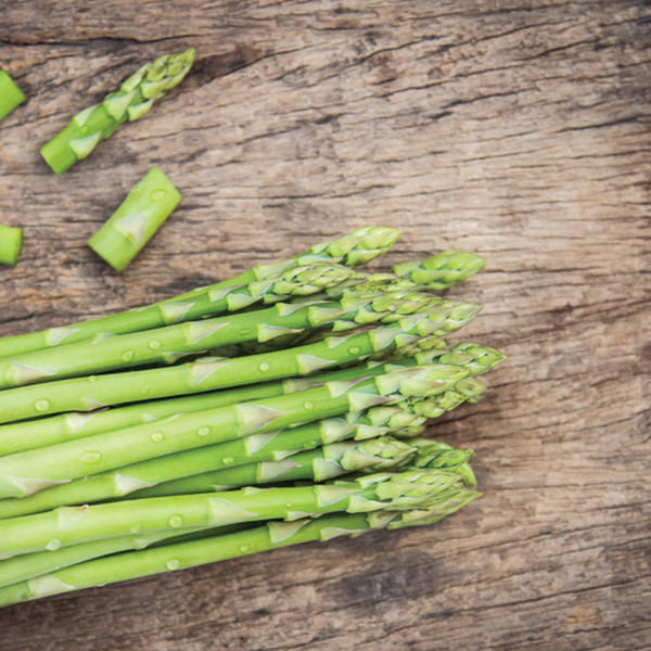 Conventional Millennium Asparagus Crowns