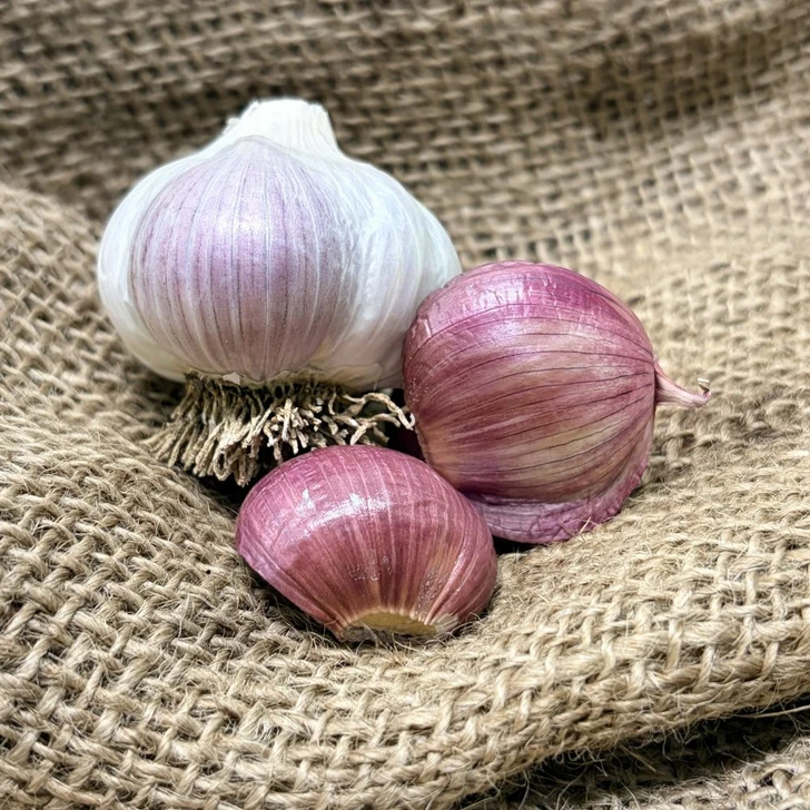 Organic Ajo Rojo (Creole)