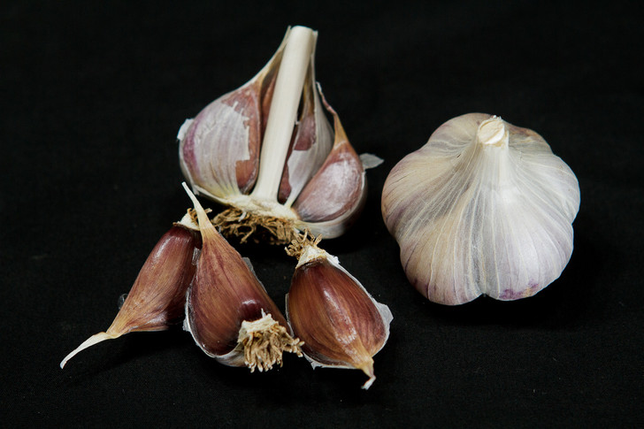 BELARUS ORGANIC GARLIC SEED