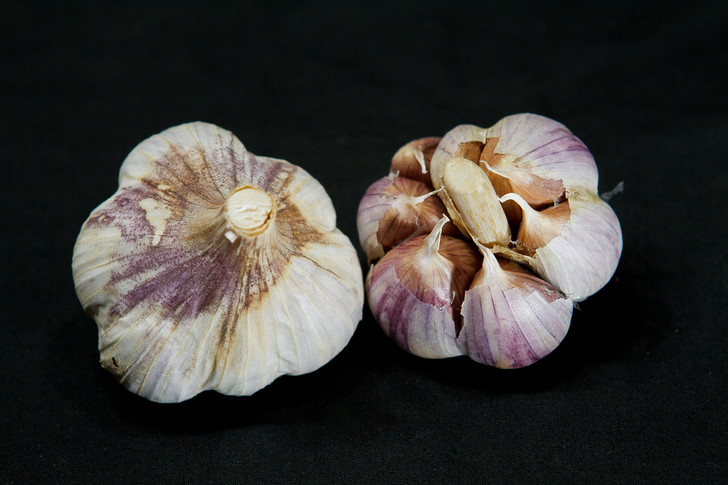 BROWN ROSE Organic Garlic Seed
