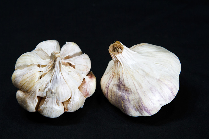 CALIFORNIA EARLY- Spring ORGANIC GARLIC SEED