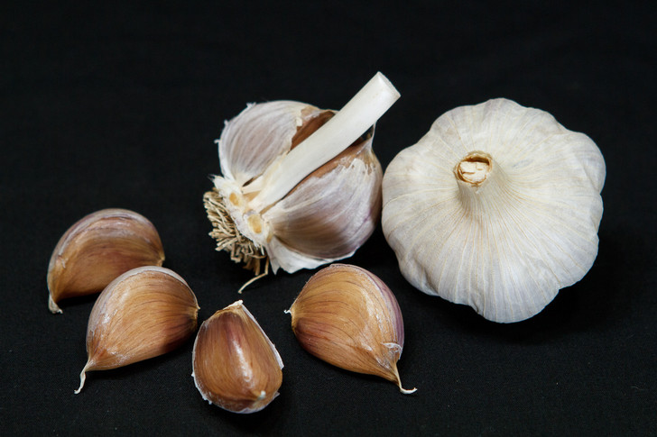 CARPATHIAN ORGANIC GARLIC SEED