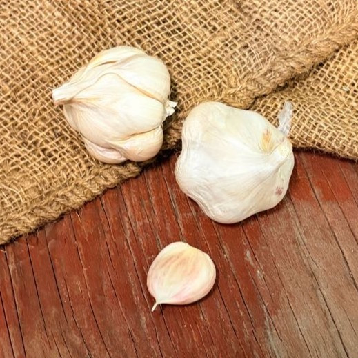 Organic Chopaka Mountain (Artichoke)