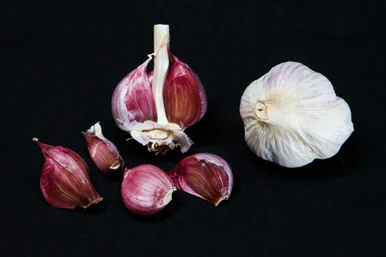 ORGANIC DONOSTIA RED (Creole)