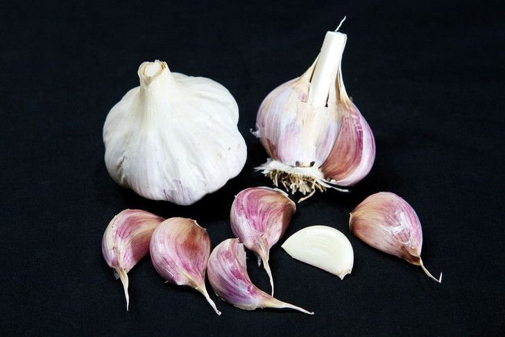 FERGANSKIJ Garlic | Filaree Organic Seed Farm