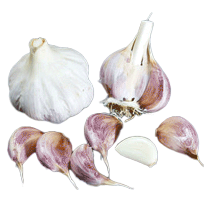 Organic Ferganskij (Purple Stripe)