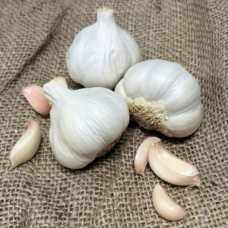 Organic Idaho Silver (Silverskin) - Spring