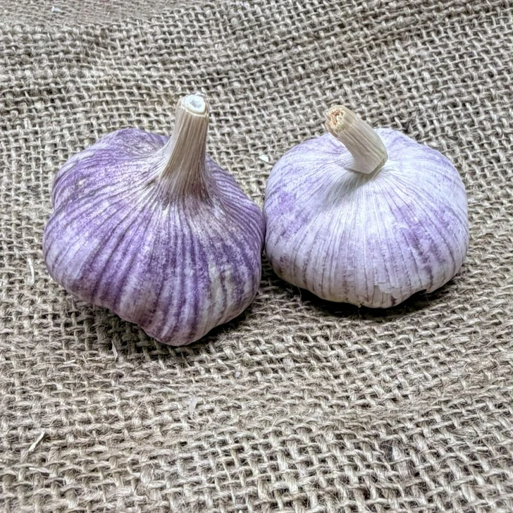 Organic Island Rocambole