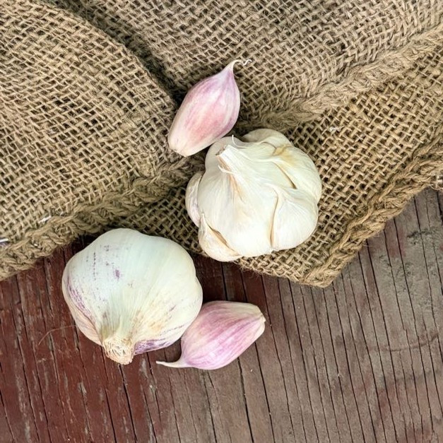 Organic Lukan (Artichoke)