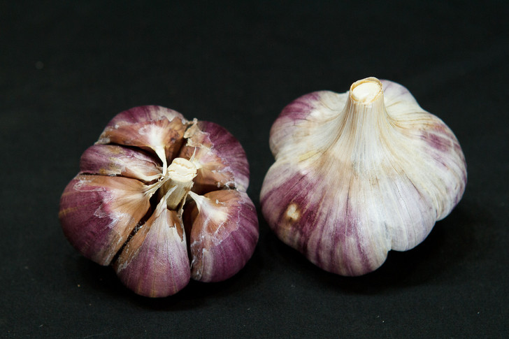 METECHI Bulk Garlic 