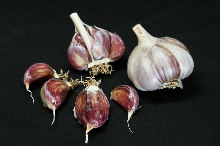 PURPLE GLAZER Garlic | Filaree Organic Seed Farm