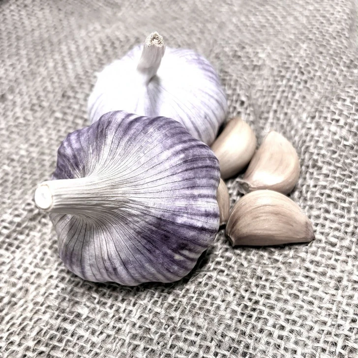 Organic Pitarelli (Rocambole)