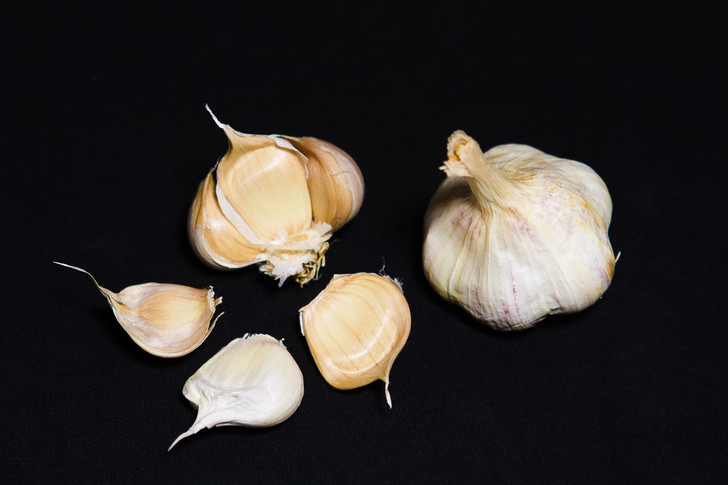 SONORAN  Bulk Garlic | Filaree Organic Seed Farm