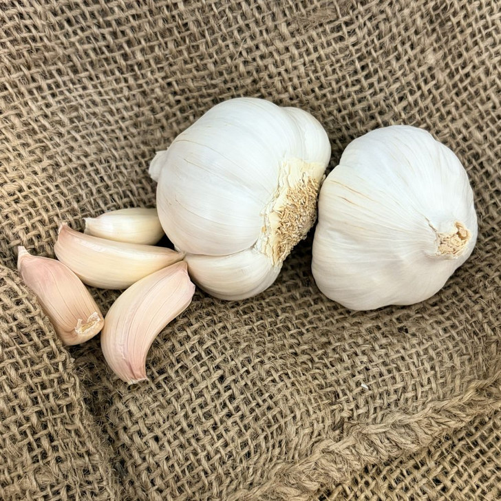 Organic St. Helens (Silverskin)