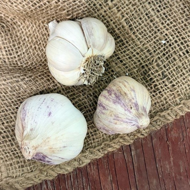 Organic Transylvanian (Artichoke)