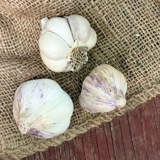 Organic Transylvanian (Artichoke)