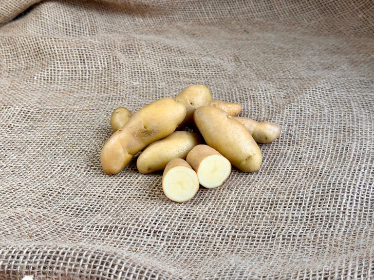 ORGANIC BANANA FINGERLING POTATO