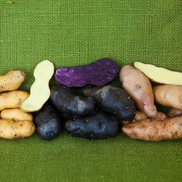 Fingerling Potato Pack