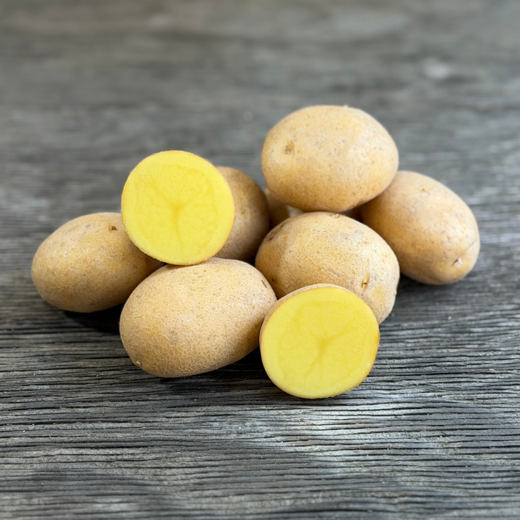 Organic German Butterball Potato