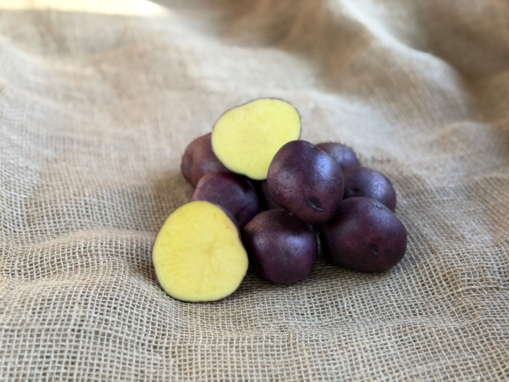 ORGANIC HUCKLEBERRY GOLD POTATO