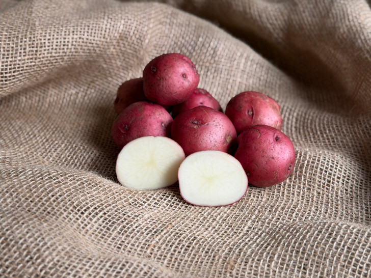 ORGANIC RED PONTIAC POTATO
