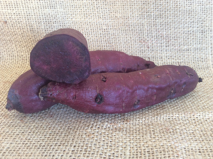 Purple Majesty Sweet Potato Organic Seed