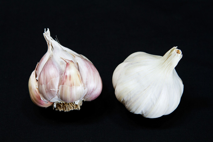 NOOTKA ROSE Garlic | Filaree Organic Seed Farm