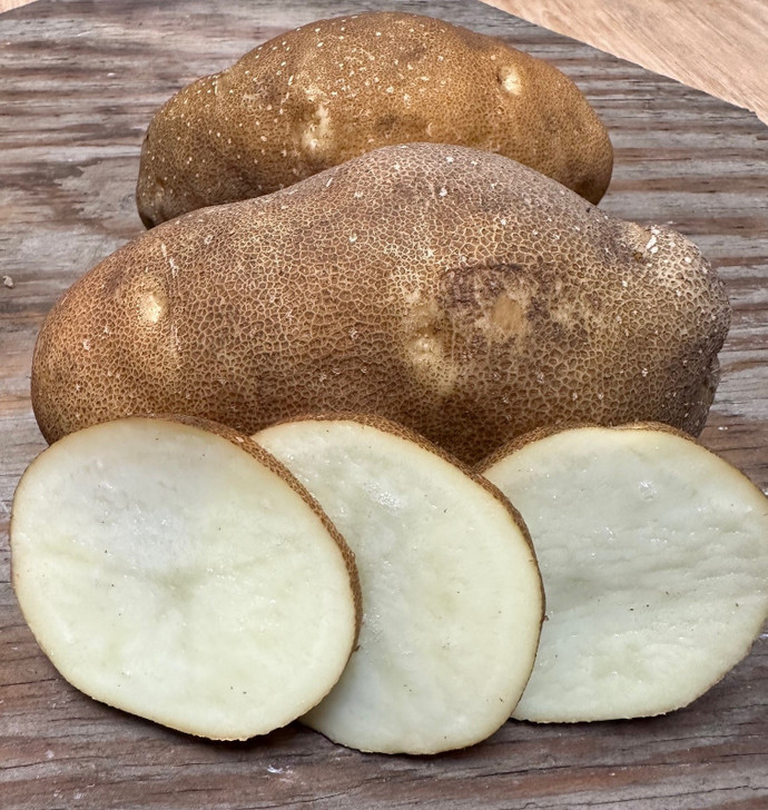 ORGANIC UMATILLA RUSSET POTATO