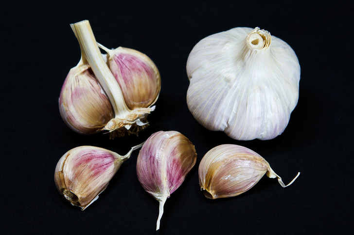 MUSIC Conventional Garlic | Filaree Organic Seed Farm