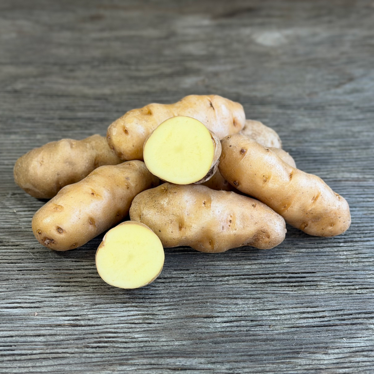 Organic Makah Ozette Fingerling