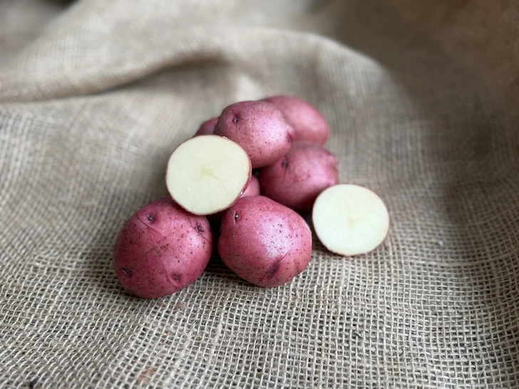 ORGANIC RED NORLAND POTATO