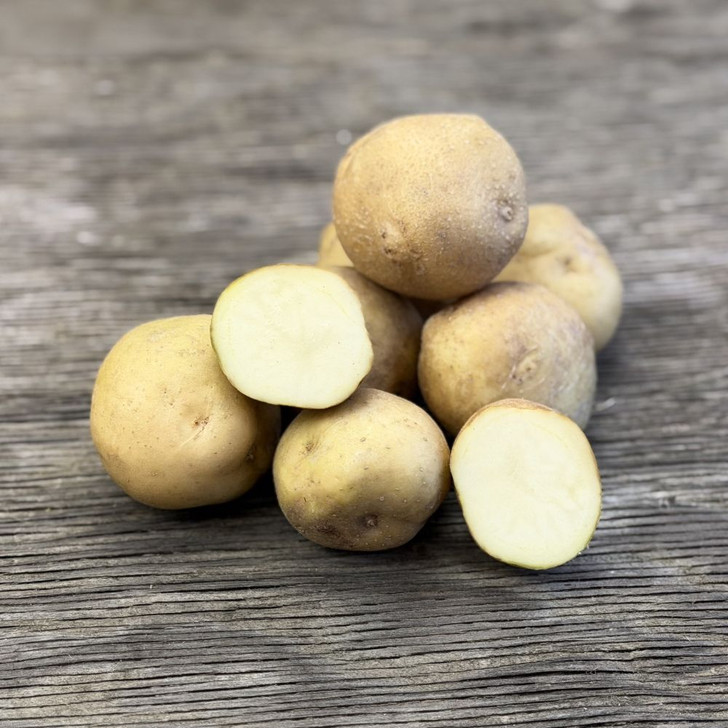 Organic Irish Cobbler Potato