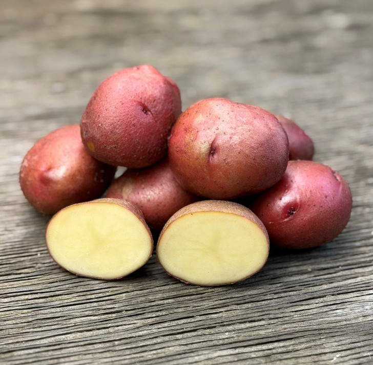 Organic Red Lasoda Potato