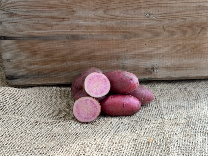 ORGANIC RED THUMB FINGERLING POTATO