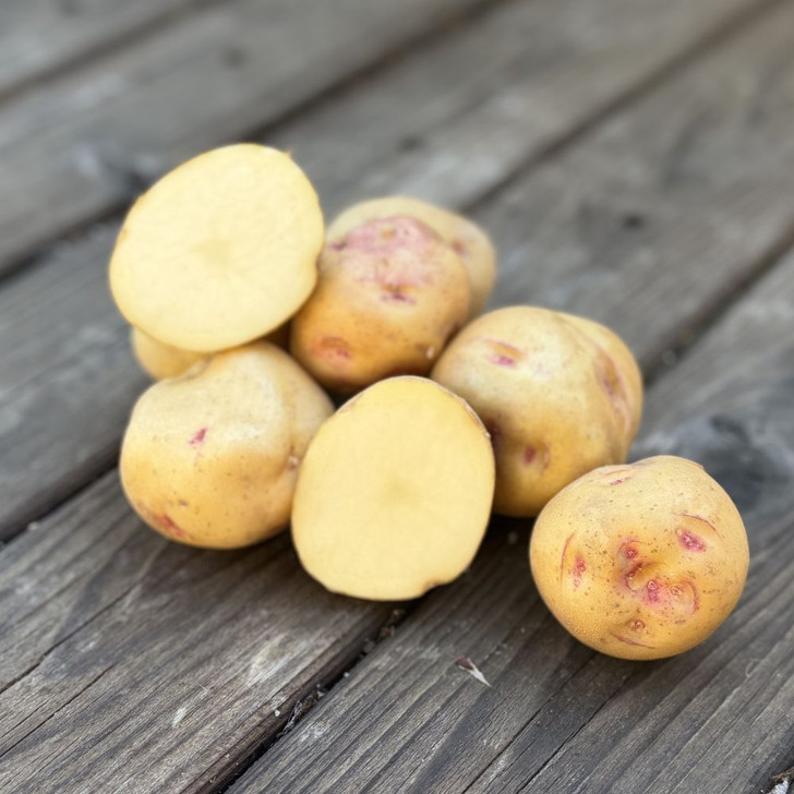 Organic Warba Potato