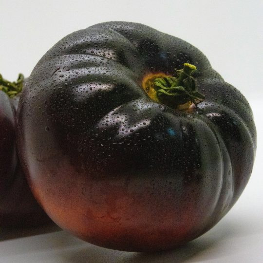 Organic Black Krim Tomato