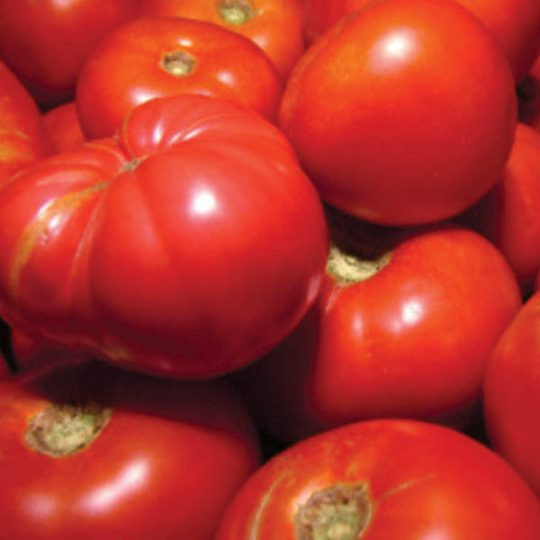 Organic Delicious Tomato