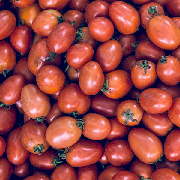 Organic Saucy Paste Tomato
