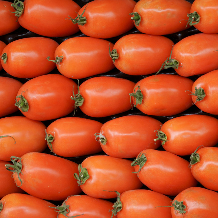 Organic San Marzano (Determinate)