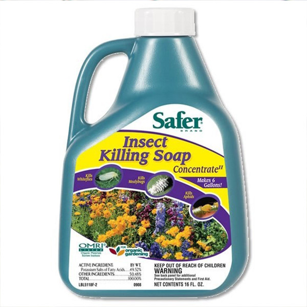 Safer Insect Killing Soap (16 Oz)