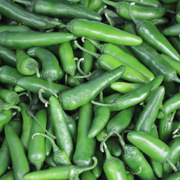 Serrano Tampiqueo Pepper